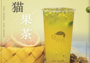 鲸鱼直播：熊猫果茶